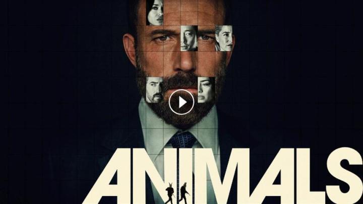 فيلم Animals 2026 مترجم HD اون لاين ماي سيما